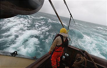 Auf Fangfahrt - Der Hochseetrawler