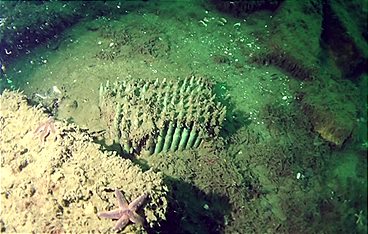 Pulverfass Ostsee - Die Gefahr am Meeresgrund
