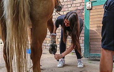 Die Mädchen-WG - Im Schloss am See