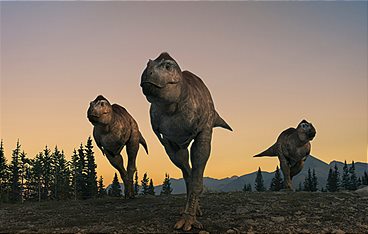 Unter Dinos - Geheimnisse der Urzeit