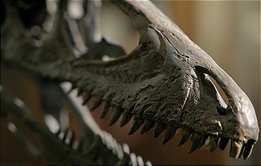 Die Erben der Dinos