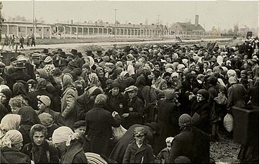 Ein Tag in Auschwitz