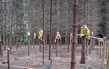 Leschs Kosmos
