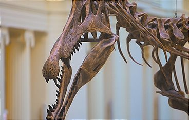 Lost Beasts - Riesen der Urzeit