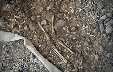 Rätsel der Menschheit: Liebe und Sex