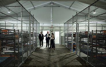 Trumps Amerika - Macht, Wandel, Widerstand