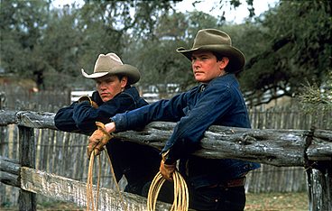 All die schönen Pferde